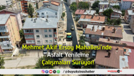 çalışmaları