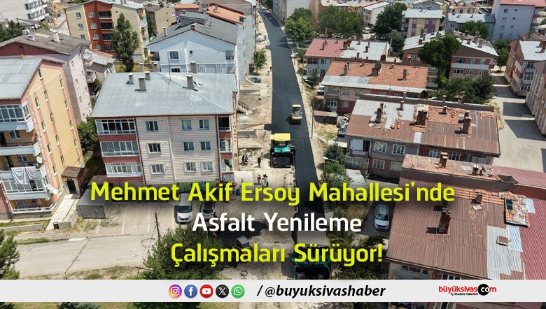 çalışmaları