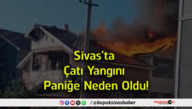 çatı