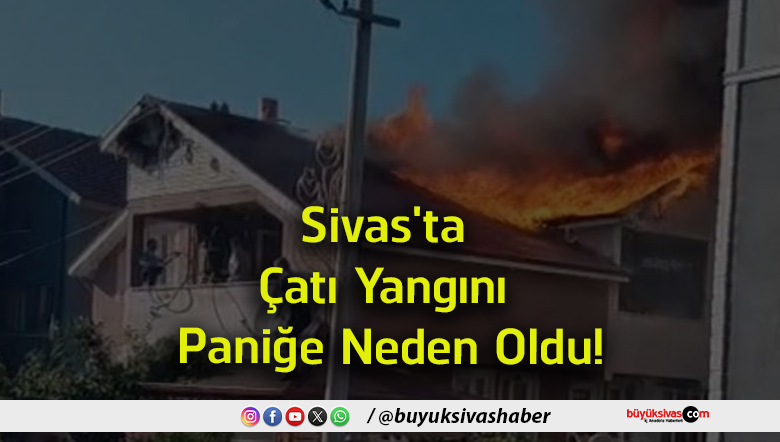 çatı