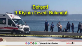 cesedi