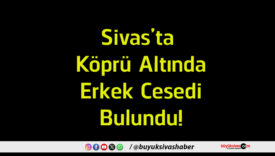 cesedi