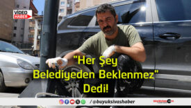 dedi