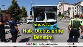 denetim