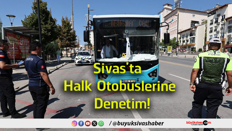 denetim