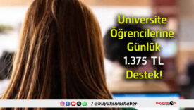 destek