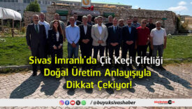 doğal