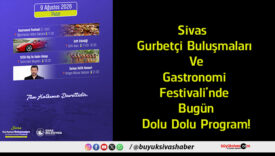 dolu
