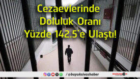 doluluk