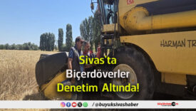 döver