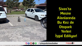 ediliyor