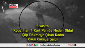geldi