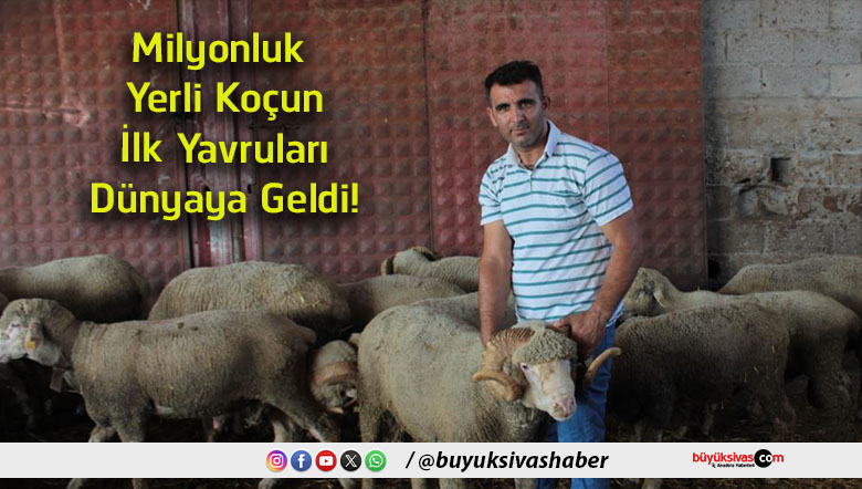geldi