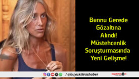 gelişmesi