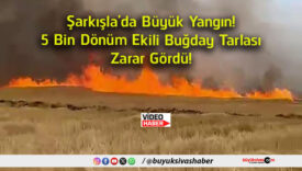 gördü