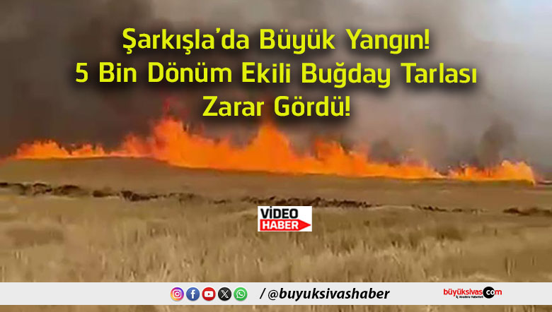 gördü