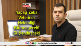 güç