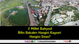 hangisi