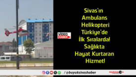 hayat