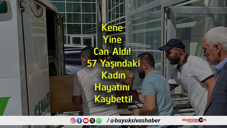 hayatını