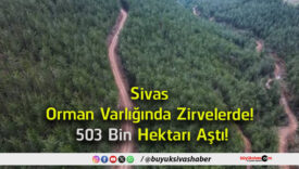 hektar