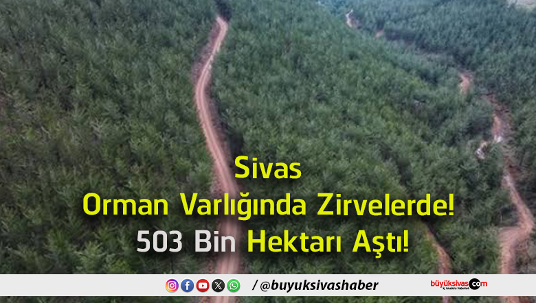 hektar