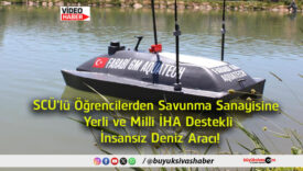 insansız