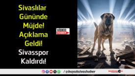 kaldırdı