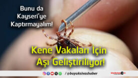kaptırmayalım