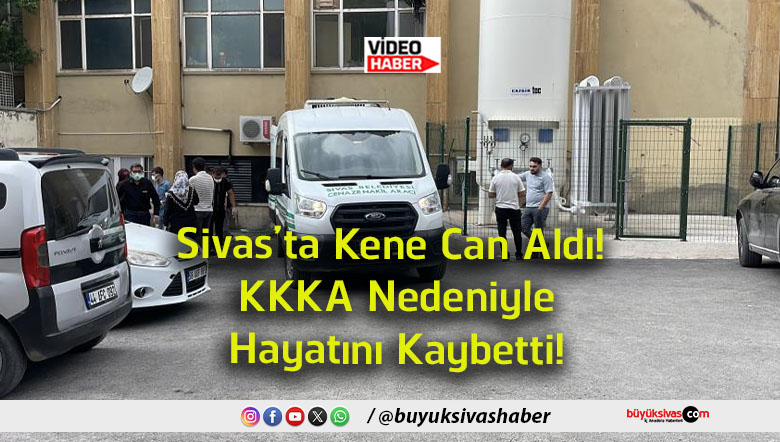 kaybetti