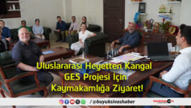 kaymakamlığa