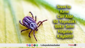 kene