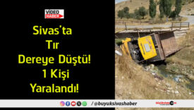 kişi