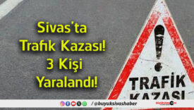 kişi