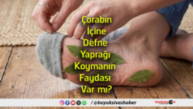 koymanın