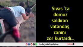 kurtardı
