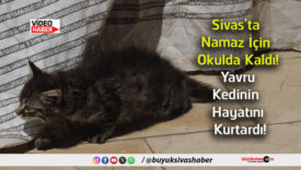 kurtardı