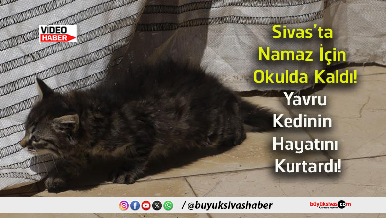 kurtardı