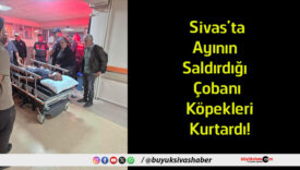kurtardı