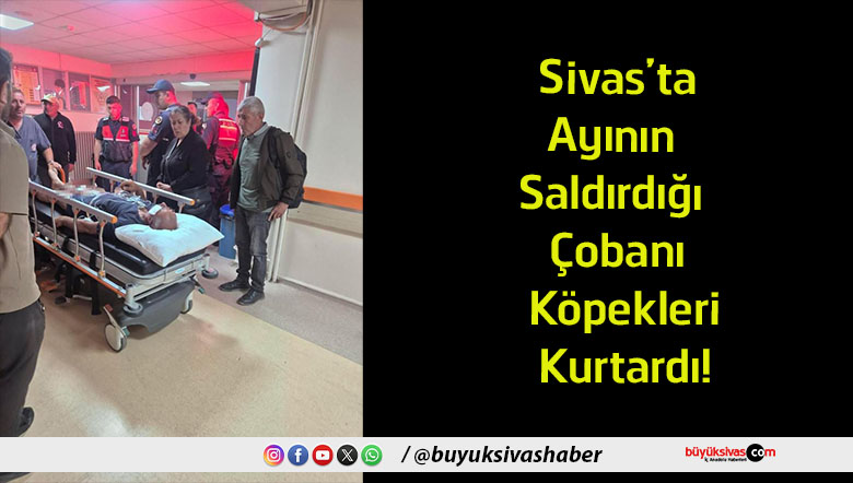 kurtardı