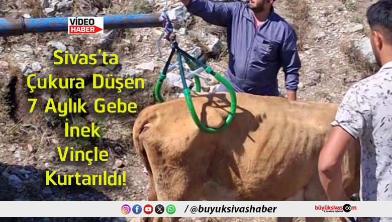 kurtarıldı