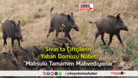 mahvediyor