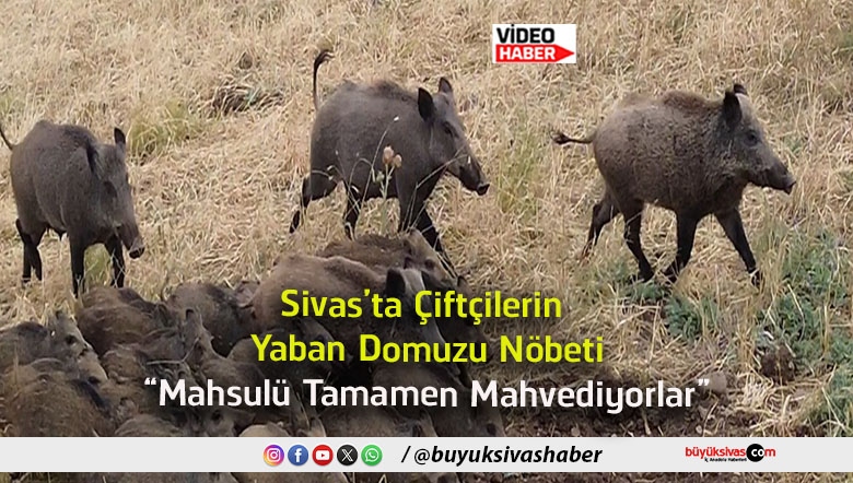 mahvediyor