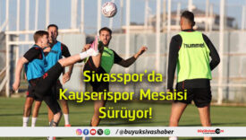 mesaisi