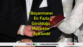 meslekler