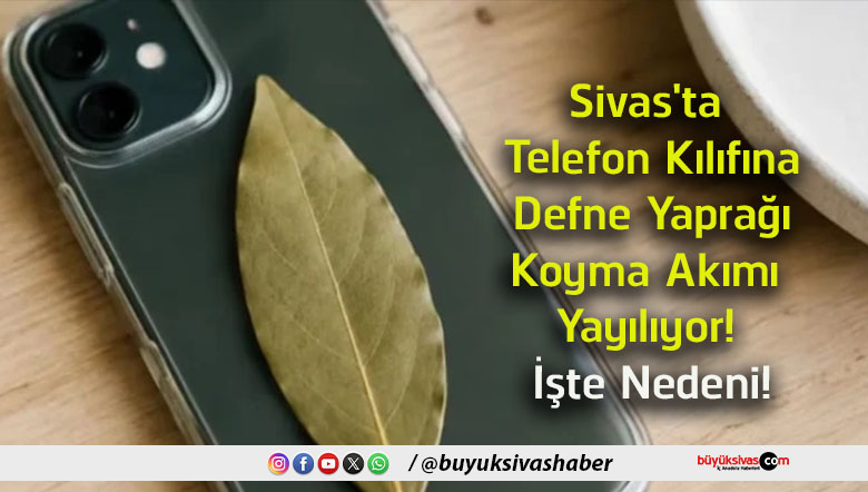 neden
