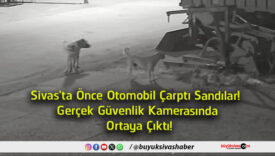 ortaya
