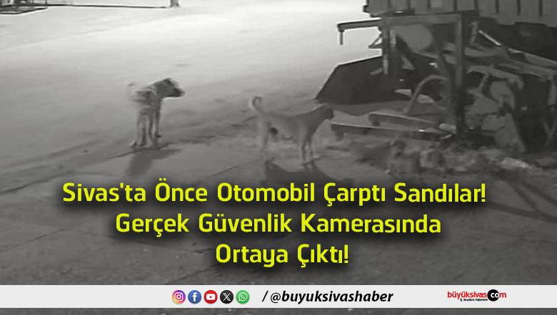 ortaya