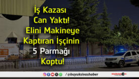parmağı