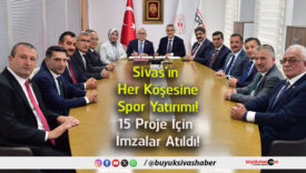 proje